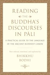 Reading the Buddha's Discourses in Pali - 8 Dec 2020