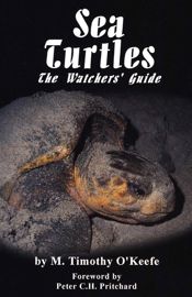 Sea Turtles - 1 Sep 2001