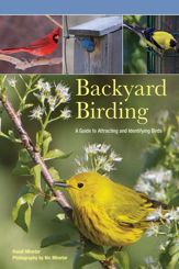 Backyard Birding - 3 May 2011