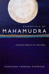 Essentials of Mahamudra - 1 May 2014