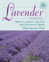 Lavender - 5 Jan 2009
