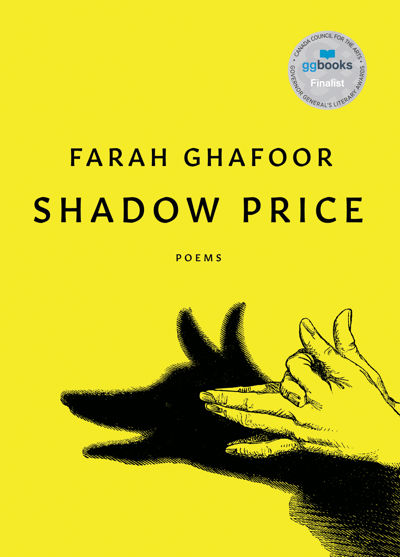 Shadow Price