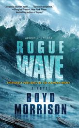 Rogue Wave - 30 Nov 2010