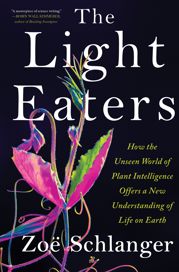 The Light Eaters - 7 May 2024