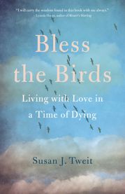 Bless the Birds - 27 Apr 2021