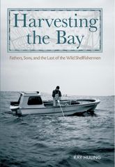 Harvesting the Bay - 3 Jul 2012