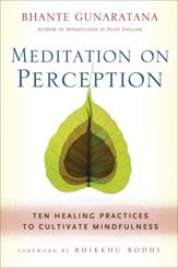 Meditation on Perception - 10 Jun 2014