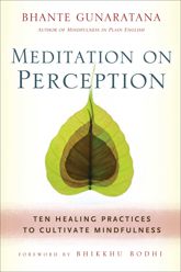 Meditation on Perception - 10 Jun 2014