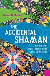 The Accidental Shaman - 16 Feb 2017