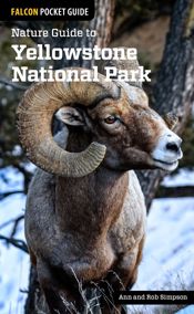 Nature Guide to Yellowstone National Park - 1 Oct 2015