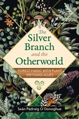 The Silver Branch and the Otherworld - 16 Jul 2024