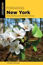 Foraging New York - 1 Jul 2025