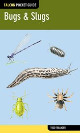 Bugs & Slugs - 16 Sep 2014