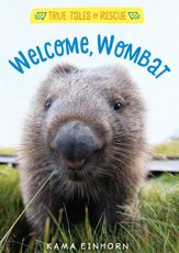 Welcome, Wombat - 20 Nov 2018