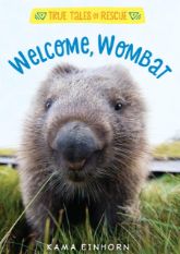 Welcome, Wombat - 20 Nov 2018