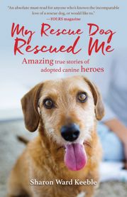 My Rescue Dog Rescued Me - 11 Apr 2017