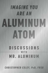 Imagine You Are An Aluminum Atom - 24 Nov 2020