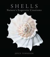 Shells - 15 Oct 2011