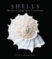 Shells - 15 Oct 2011