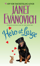 Hero at Large - 30 Mar 2010