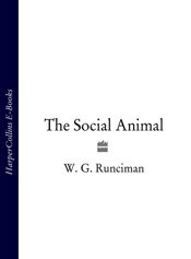 The Social Animal - 31 May 2012