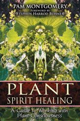 Plant Spirit Healing - 30 Jan 2008