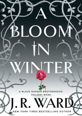 A Bloom in Winter - 12 Nov 2024
