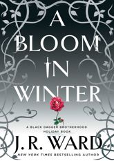 A Bloom in Winter - 12 Nov 2024