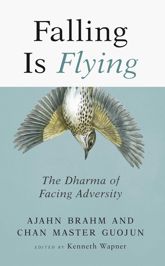 Falling is Flying - 19 Mar 2019