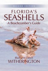 Florida's Seashells - 1 May 2017