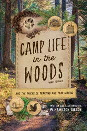 Camp Life in the Woods - 1 Nov 2023