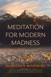 Meditation for Modern Madness - 10 Sep 2024