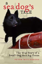 Sea Dog's Tale - 30 Jun 2012