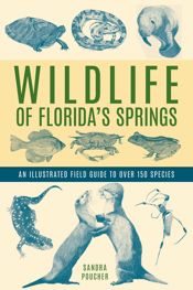 Wildlife of Florida's Springs - 1 Jul 2022