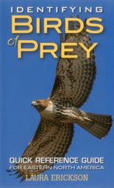 Identifying Birds of Prey - 1 Mar 2016