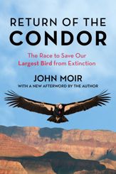 Return of the Condor - 21 Nov 2023
