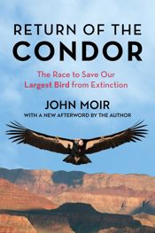 Return of the Condor - 21 Nov 2023