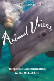 Animal Voices - 1 May 2002
