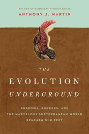 The Evolution Underground - 7 Feb 2017