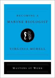 Becoming a Marine Biologist - 2 Apr 2019