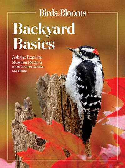 Birds and Blooms Backyard Basics