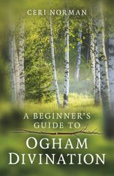 Beginner's Guide to Ogham Divination - 25 Nov 2022