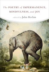 The Poetry of Impermanence, Mindfulness, and Joy - 6 Jun 2017