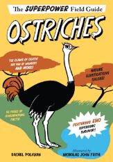 Ostriches - 19 Nov 2019