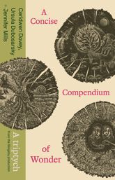 A Concise Compendium of Wonder - 24 Feb 2026