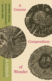 A Concise Compendium of Wonder - 24 Feb 2026