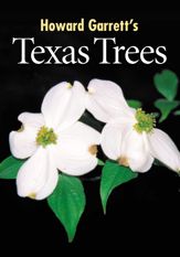 Texas Trees - 7 Oct 2002