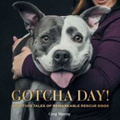 Gotcha Day! - 26 Sep 2023