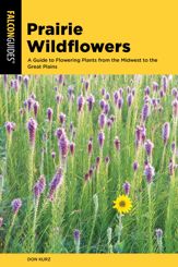 Prairie Wildflowers - 1 Apr 2019