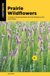 Prairie Wildflowers - 1 Apr 2019